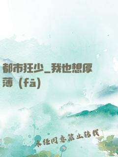 都市狂少