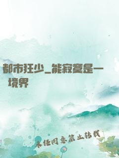 都市狂少