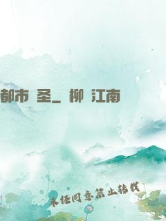 都市盜圣