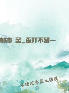 都市盜圣