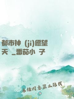 都市神級(jí)愿望天書