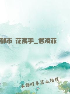 都市護花高手