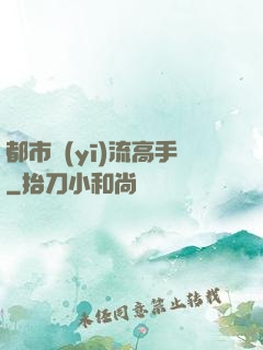都市醫(yī)流高手