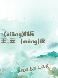 鄉(xiāng)村兵王