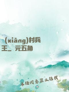 鄉(xiāng)村兵王