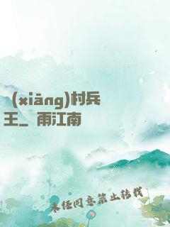 鄉(xiāng)村兵王
