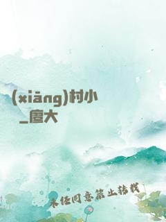 鄉(xiāng)村小無賴