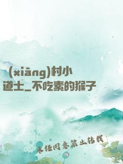 鄉(xiāng)村小道士