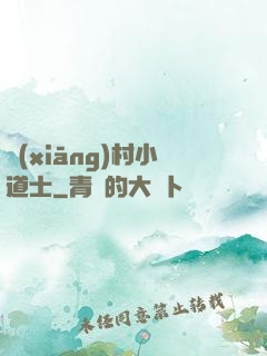鄉(xiāng)村小道士