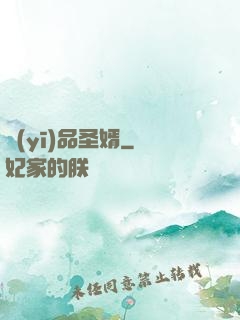 醫(yī)品圣婿