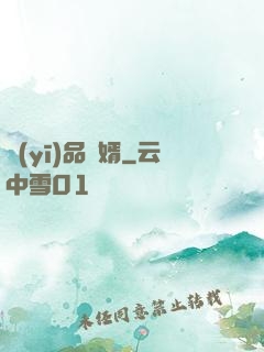 醫(yī)品贅婿