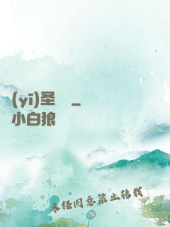 醫(yī)圣龍帥
