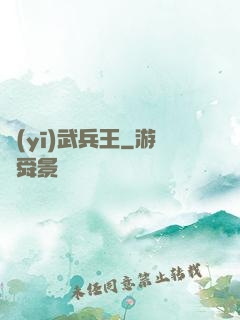醫(yī)武兵王