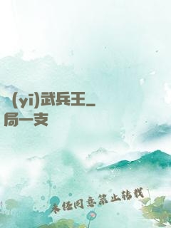 醫(yī)武兵王