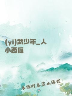 醫(yī)武少年