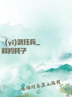 醫(yī)武狂兵
