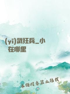 醫(yī)武狂兵
