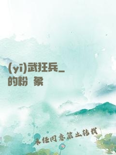 醫(yī)武狂兵
