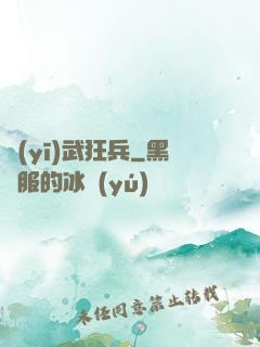 醫(yī)武狂兵