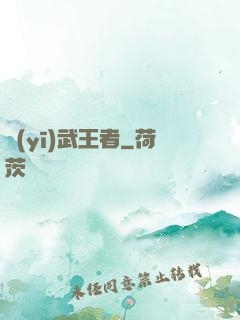 醫(yī)武王者