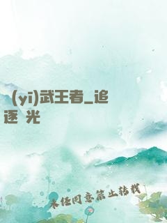 醫(yī)武王者