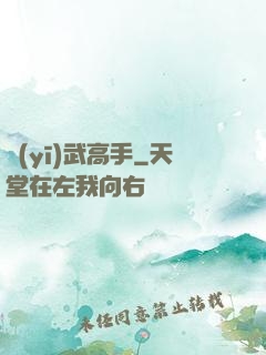 醫(yī)武高手