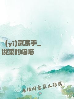 醫(yī)武高手
