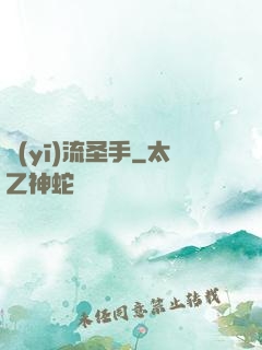 醫(yī)流圣手