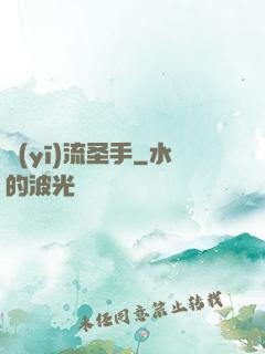 醫(yī)流圣手