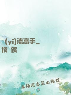 醫(yī)流高手