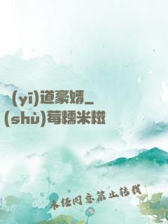 醫(yī)道豪婿