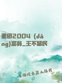 重回2004當(dāng)富翁