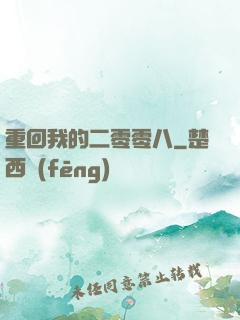 重回我的二零零八