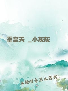 重掌天宮