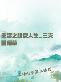 重活之肆意人生