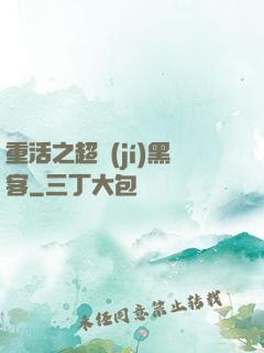 重活之超級(jí)黑客