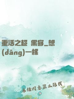 重活之超級黑客