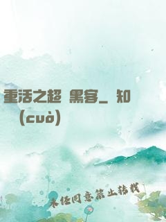 重活之超級黑客