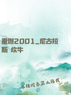 重燃2001