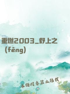 重燃2003