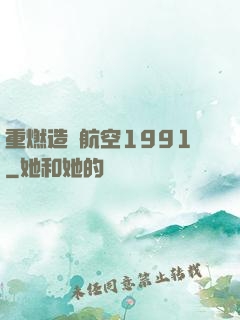 重燃造車航空1991