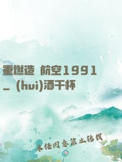 重燃造車航空1991