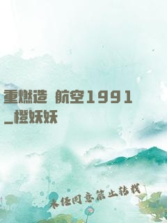 重燃造車航空1991