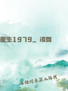 重生1979