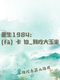重生1984：從開發(fā)漢卡開始