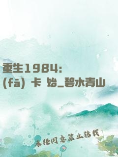 重生1984：從開發(fā)漢卡開始
