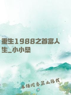 重生1988之首富人生