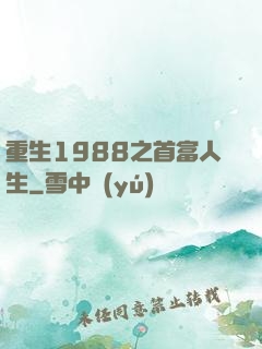 重生1988之首富人生