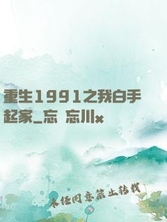重生1991之我白手起家