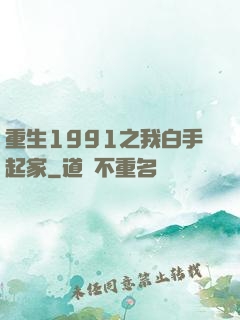 重生1991之我白手起家
